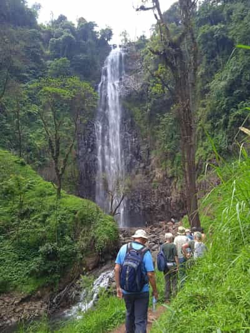 Billet Moshi : Chute d'eau de Materuni et sources d'eau chaude de Kikuletwa Jour ...