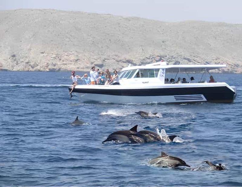 Billet Mascate : excursion en bateau pour l'observation des dauphins