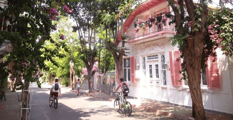 Billet Istanbul : visite des îles des Princes avec Heybeliada et Buyukada