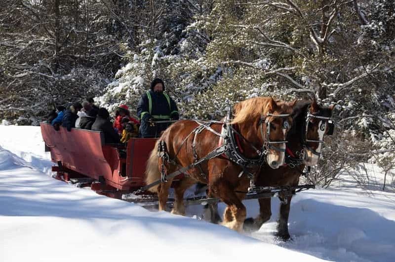 Billet Mont-Tremblant : Promenade en traîneau avec contes et chocolat chaud