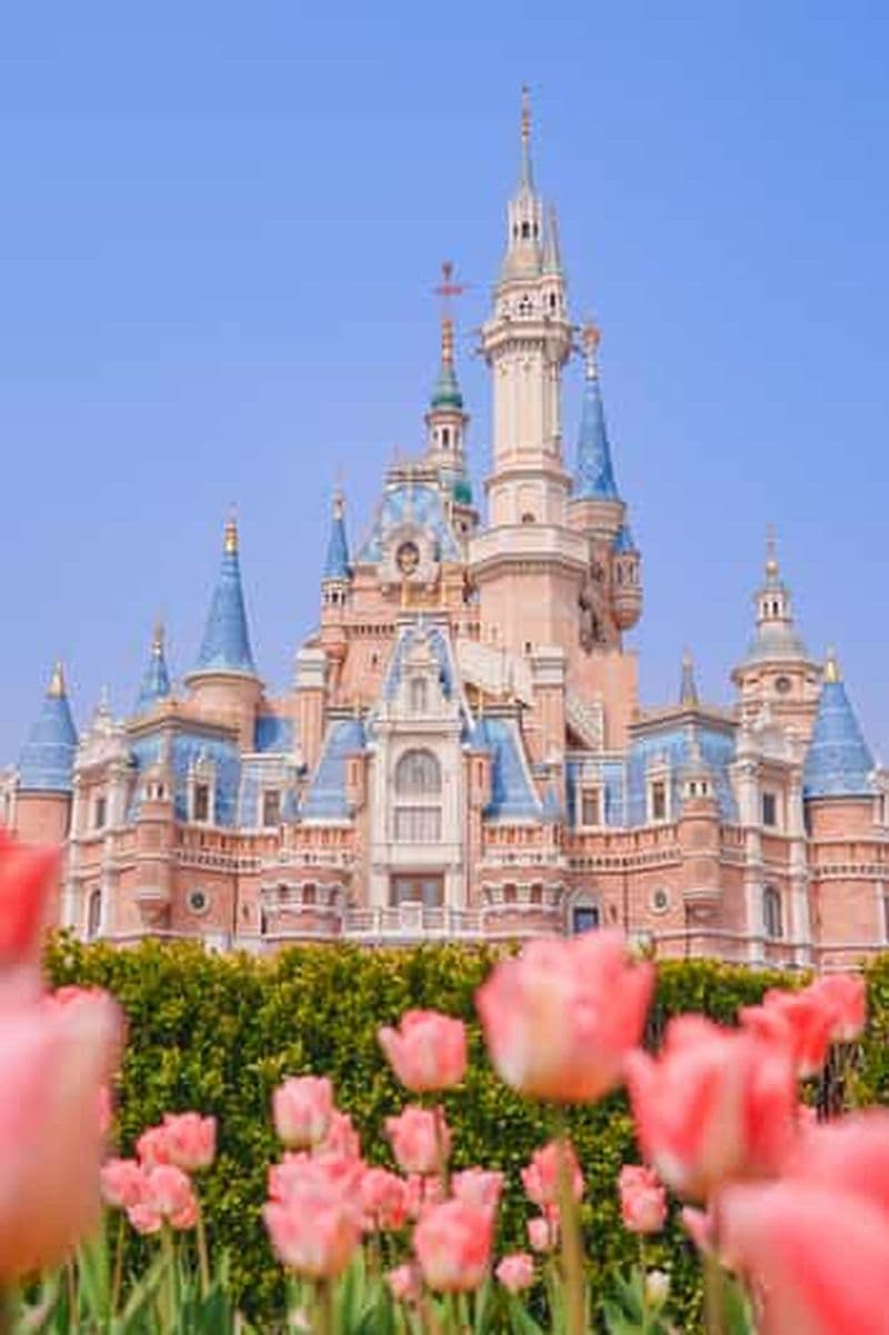 Billet Shanghai : Suzhou, Hangzhou et Wuzhen, circuit de 5 jours