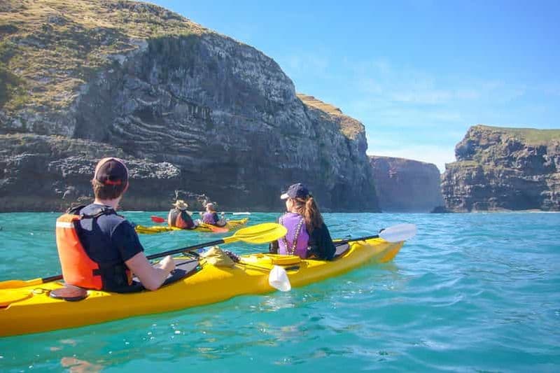 Billet Akaroa : Safari en 4x4 et expérience guidée de kayak de mer