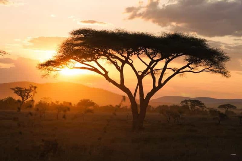 Billet 3 jours de safari en camping dans le Serengeti et le Ngorongoro
