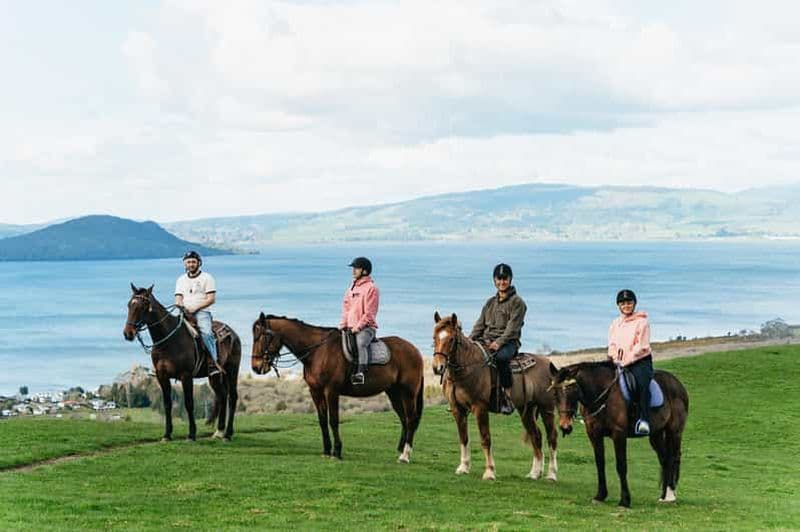 Billet Rotorua : Excursion guidée d'une journée à cheval sur le mont Ngongotaha