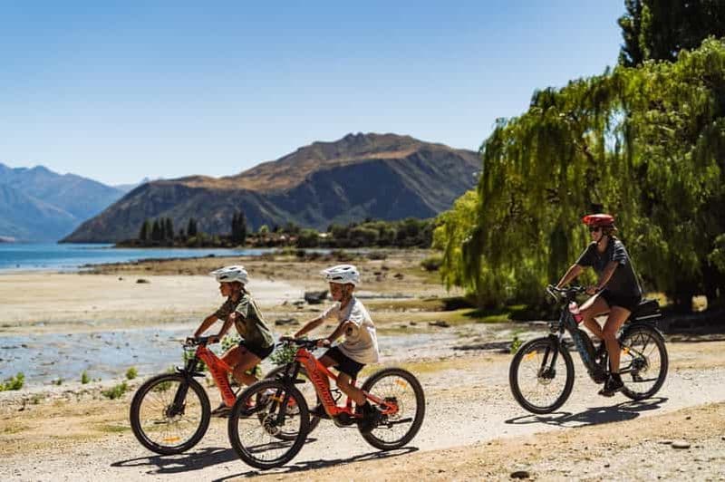 Billet Wānaka : Gladstone Track et Wanaka Trails à vélo ou en eBike