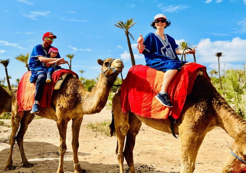 Billet Marrakech : balade à dos de chameau dans l'oasis de la Palmeraie