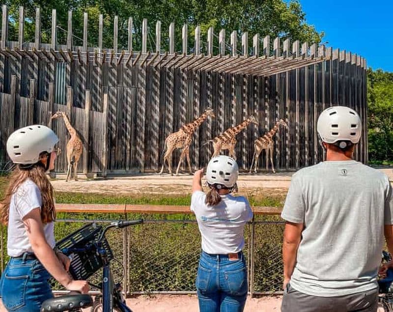 Billet Découvrez le parc emblématique de la Tête d'Or à Lyon à vélo.