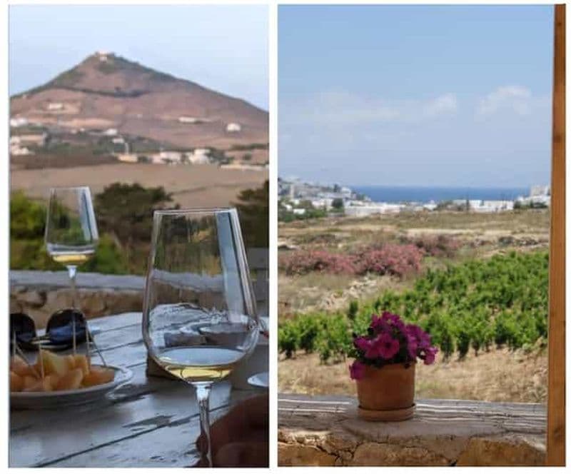 Billet Paros : dégustation de vin dans un vignoble local