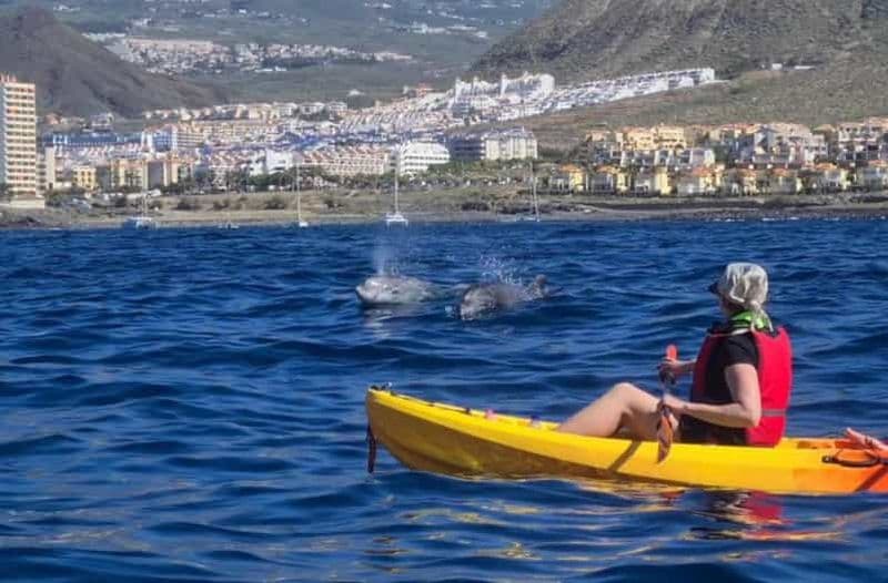 Billet Tenerife : safari en kayak et plongée avec tuba pour observer les tortues de mer