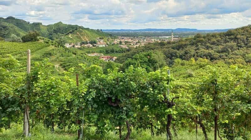 Billet Excursion d'une journée dans les collines du Prosecco depuis Venise et Trévise : 2 caves