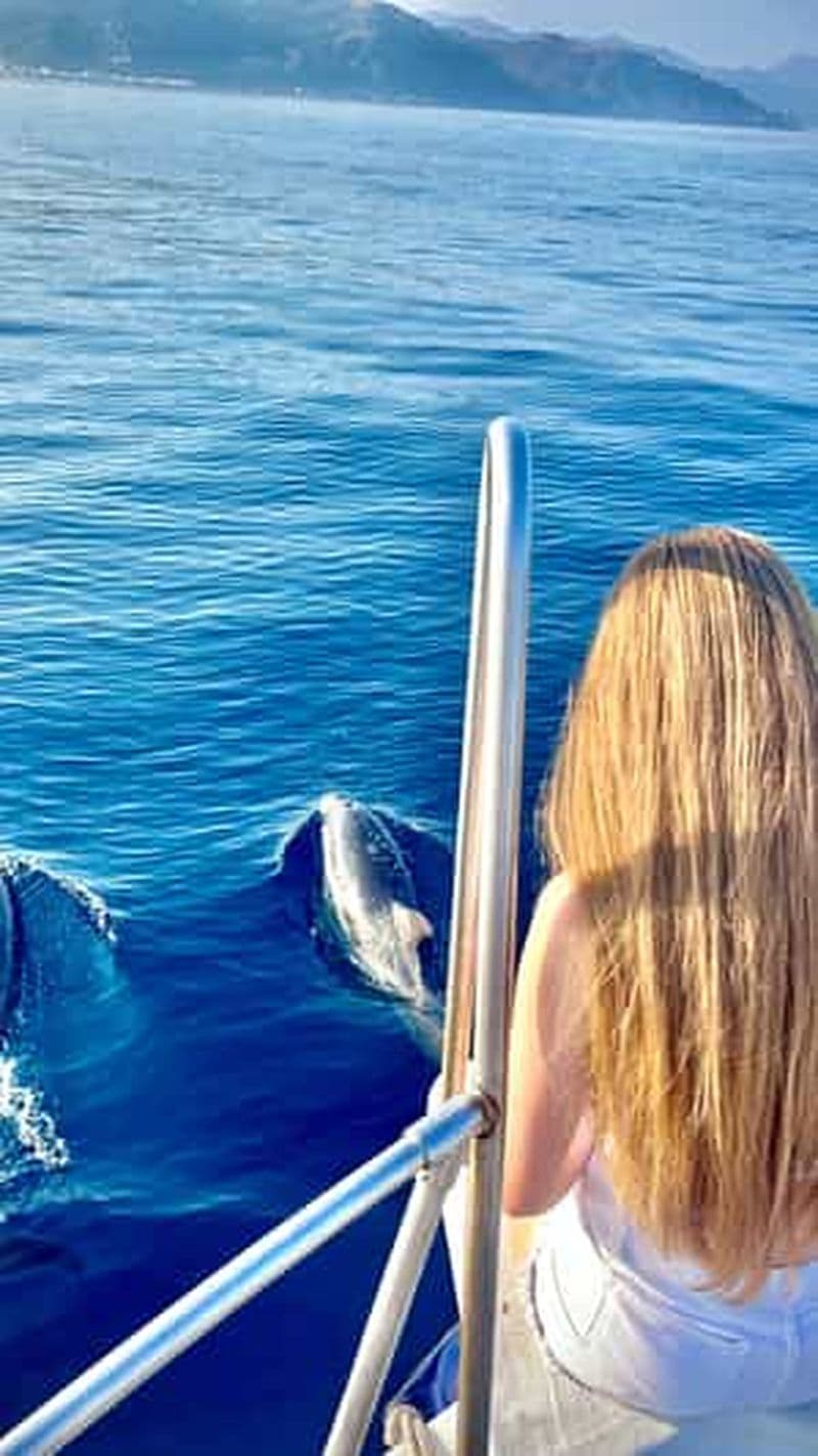 Billet Taormine : tour avec les dauphins et apéritif au coucher du soleil en bateau