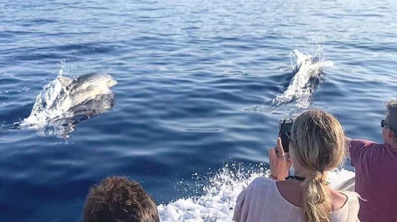Billet Letojanni et Taormine : visite d'une journée et excursion privée avec dauphins