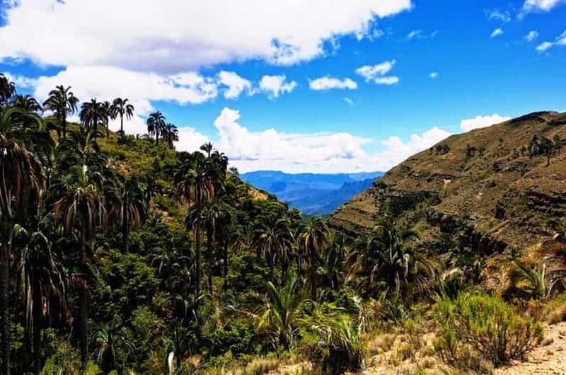 Billet Sucre : 2 jours dans le parc national d'El Palmar et les villages de Yampara