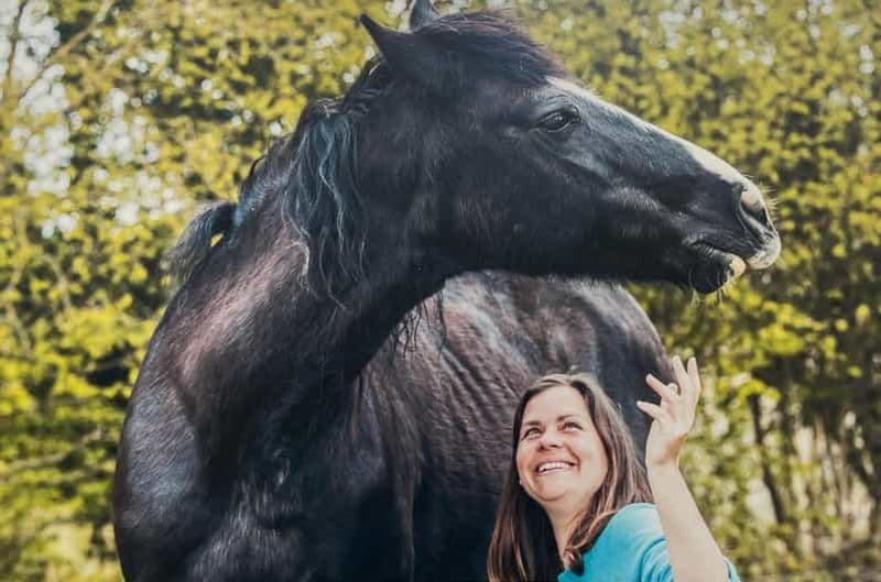 Billet Equicoaching - expérimenter la connexion avec les chevaux en Normandie