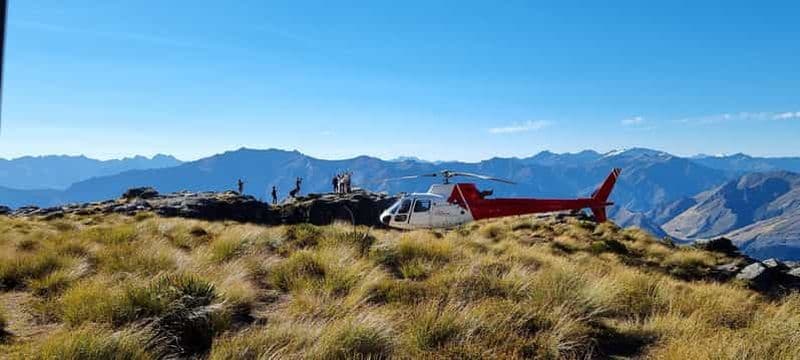 Billet Queenstown : Vol panoramique en hélicoptère dans les Alpes