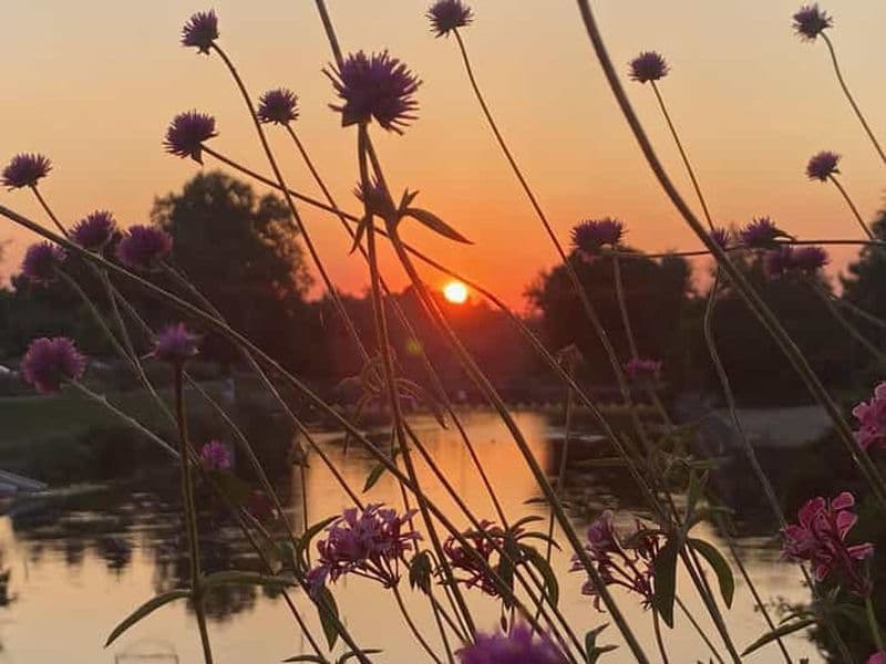 Billet Bâle : envie d'une balade à vélo à travers 3 pays en 60 minutes ?