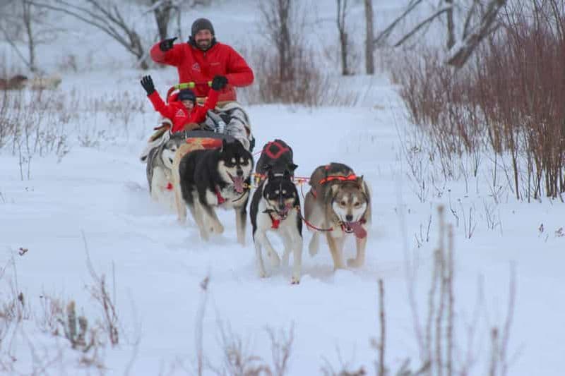 Billet Aventure en traîneau à chiens dans la vallée près de Mont-Tremblant