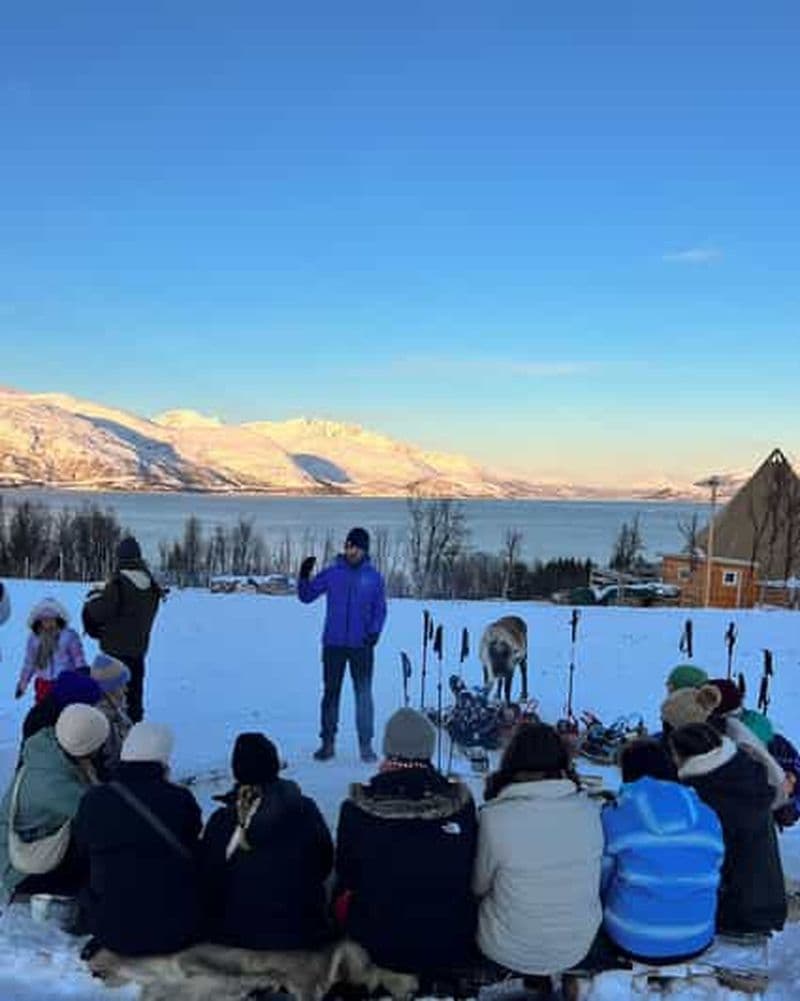 Billet Tromsø : Randonnée en raquettes avec des rennes