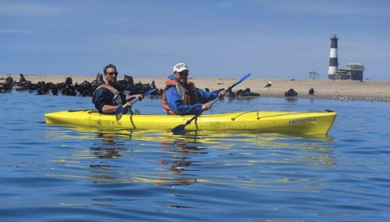 Billet Walvis Bay : Excursion en kayak à Pelican Point