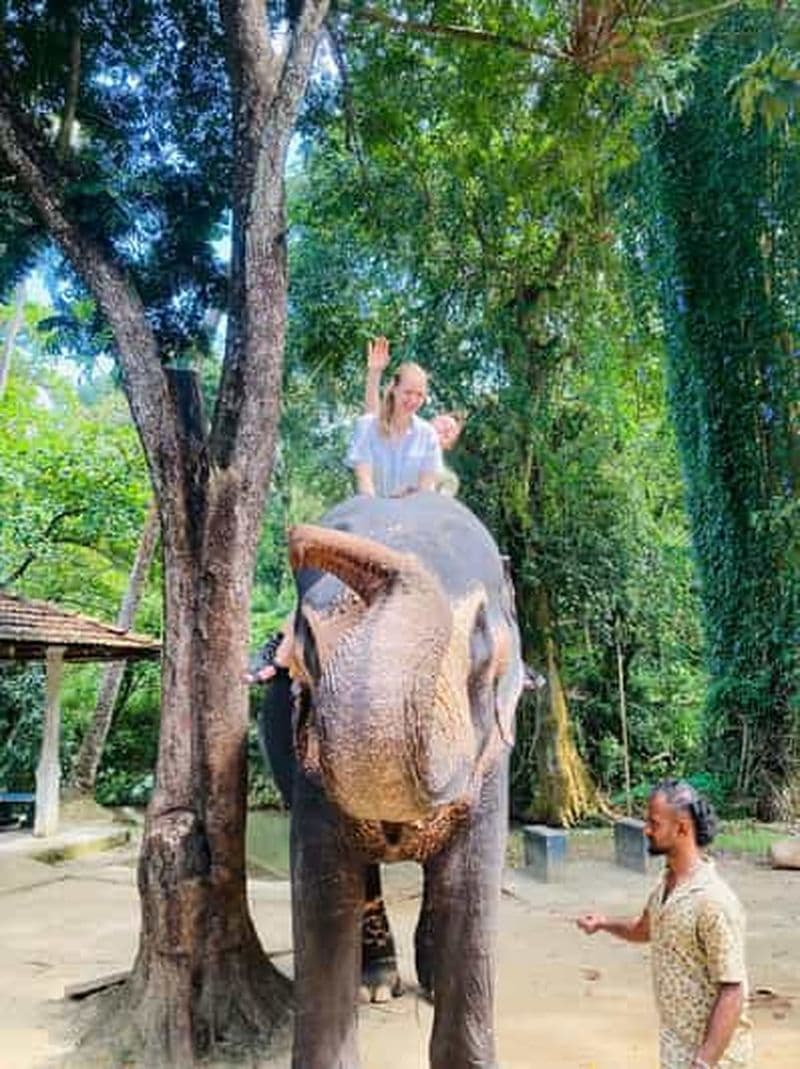 Billet Depuis Kandy : orphelinat des éléphants de Pinnawala et tour d'Ambuluwawa