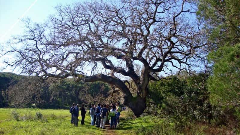 Billet Lisbonne : Randonnée dans le parc naturel d'Arrábida