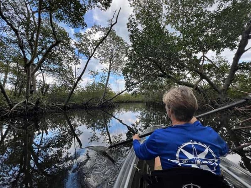 Billet Miami : excursion écologique en kayak transparent avec guide et faune