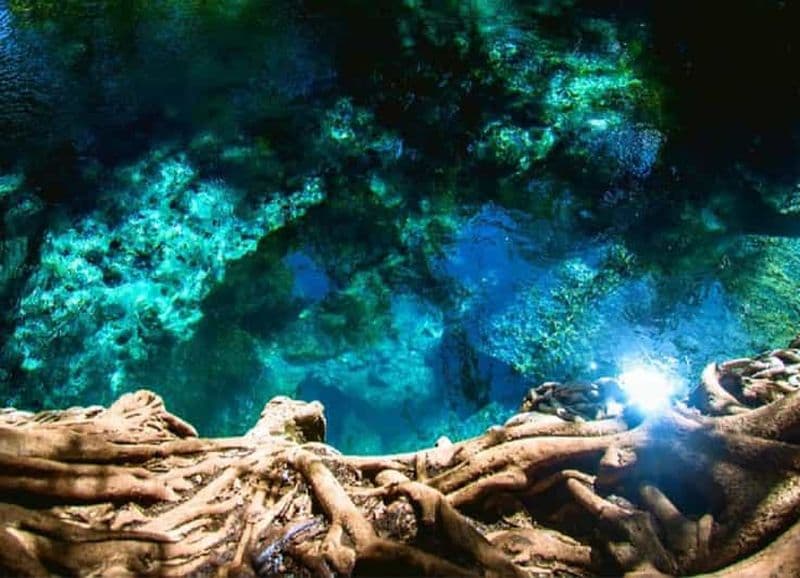 Billet Arusha : Chute d'eau de Materuni, plantation de café et bains chauds ...