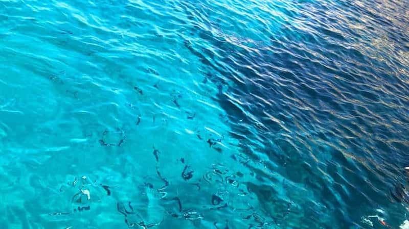 Billet Marseille : Croisière écologique dans le parc national des Calanques