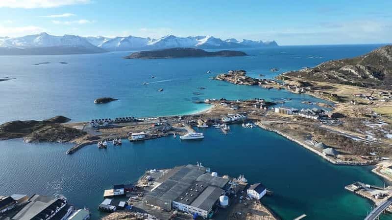 Billet Croisière dans le fjord de Tromsø, avec escale sur l'île de Sommarøy