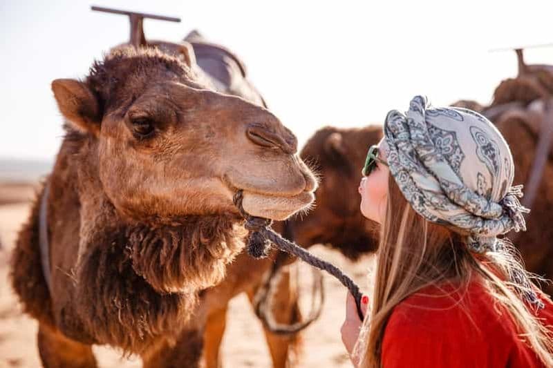 Billet Sharm : Desert Adventures ATV, Buggy, Horse Ride & Camel Ride