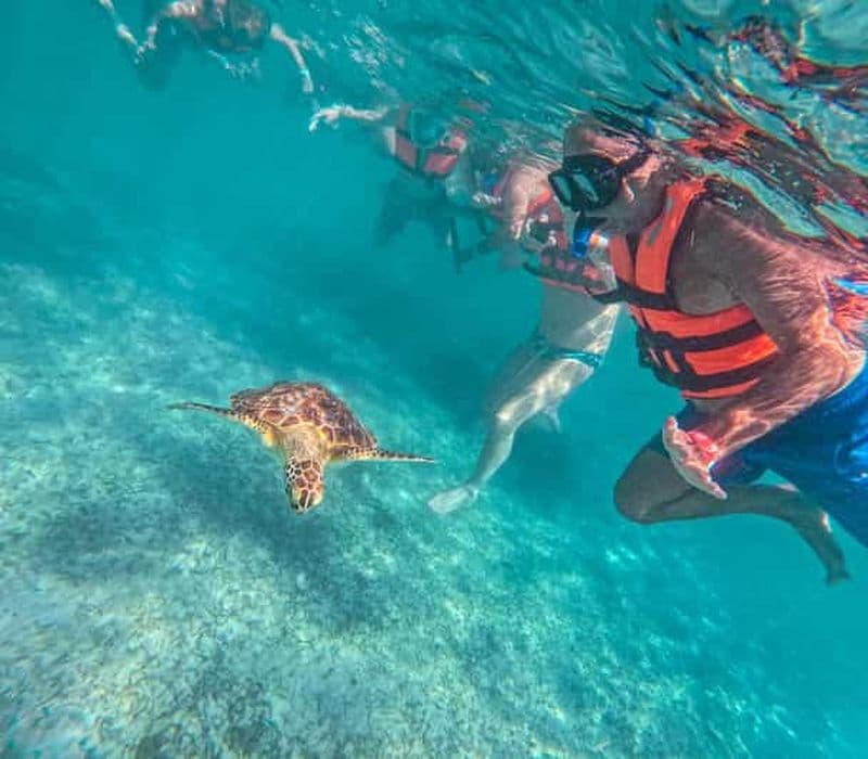 Billet Cancún : visite des ruines de Tulum, des tortues d'Akumal, d'un cénote et de grottes