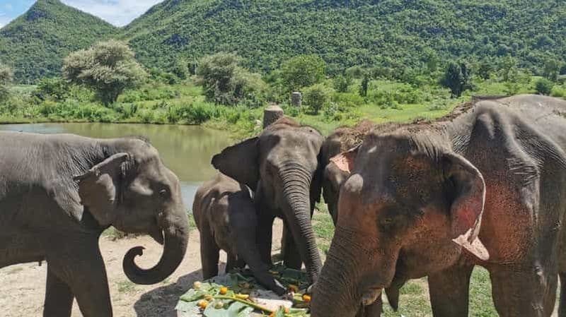 Billet Bangkok : Le monde des éléphants et la cascade d'Erawan à Kanchanaburi