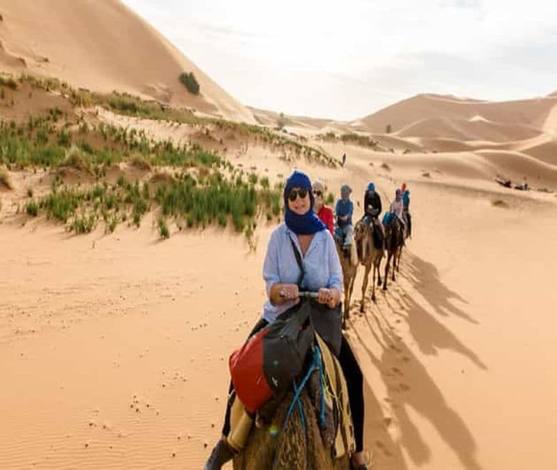 Billet 1 nuit de randonnée chamelière dans le désert de Merzouga