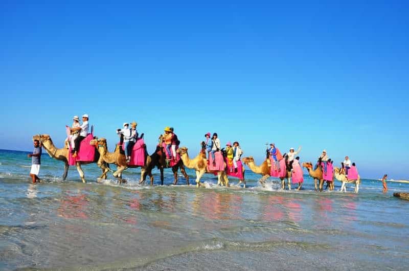 Billet Djerba : Balade à dos de chameau à la plage.