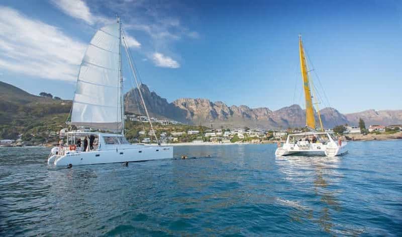 Billet Le Cap : Croisière "Gin Voyage" dans le V&A Waterfront