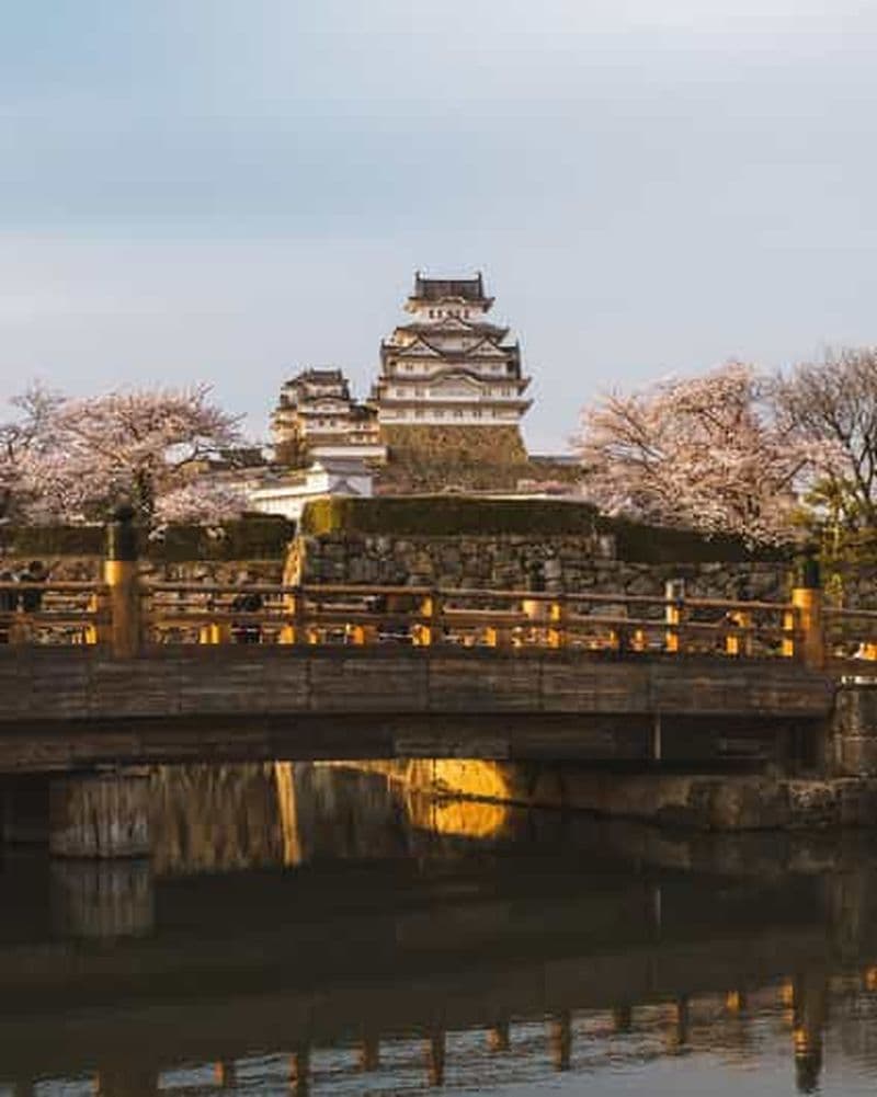Billet Visite d'une journée : Himeji, Kobe et le mont Shosha