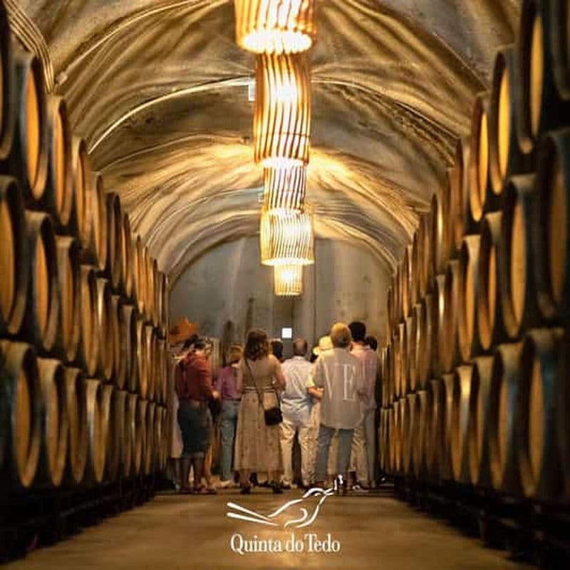 Billet Vallée du Douro : vignobles à Quinta do Tedo et dégustations
