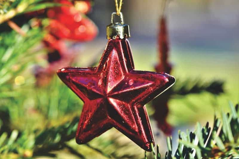 Billet Montréal : Brunch-croisière de Noël