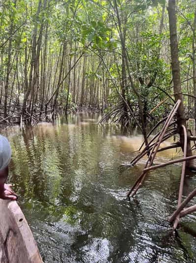 Billet Île de Pemba : excursion à la plage de Vumawimbi avec collations