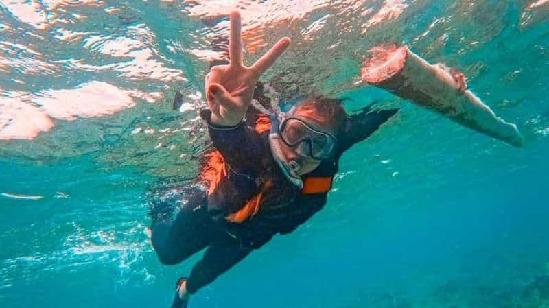 Billet Bohol : observation des dauphins et aller d'île en île à Balicasag