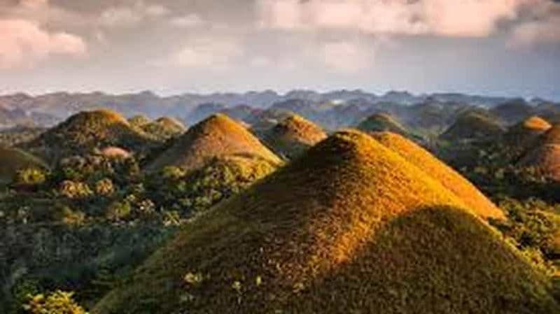 Billet Bohol : visite des Chocolate Hills, des tarsiers et de la rivière Loboc
