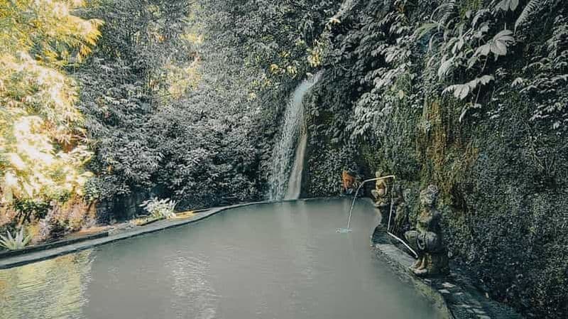 Billet Bali : Promenade dans le jardin botanique Rizières en terrasses et sources d'eau chaude naturelles
