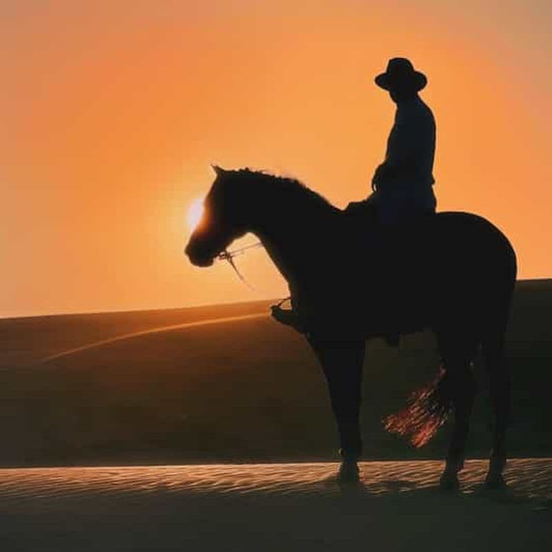 Billet Essaouira : 2 heures d'équitation au coucher du soleil