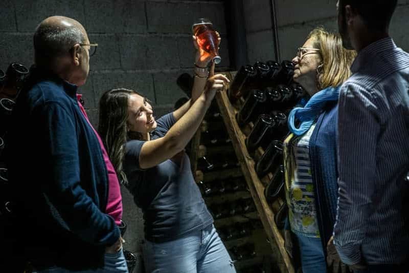 Billet Celorico De Basto : Visite du vignoble Quinta de Santa Cristina