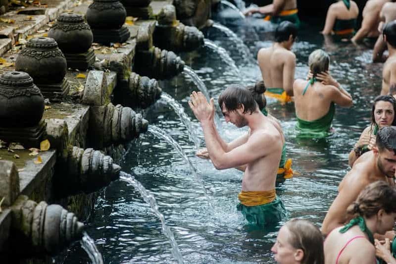 Billet Ubud : Forêt des singes, rizières en terrasses de Ceking et plus encore - Journée complète