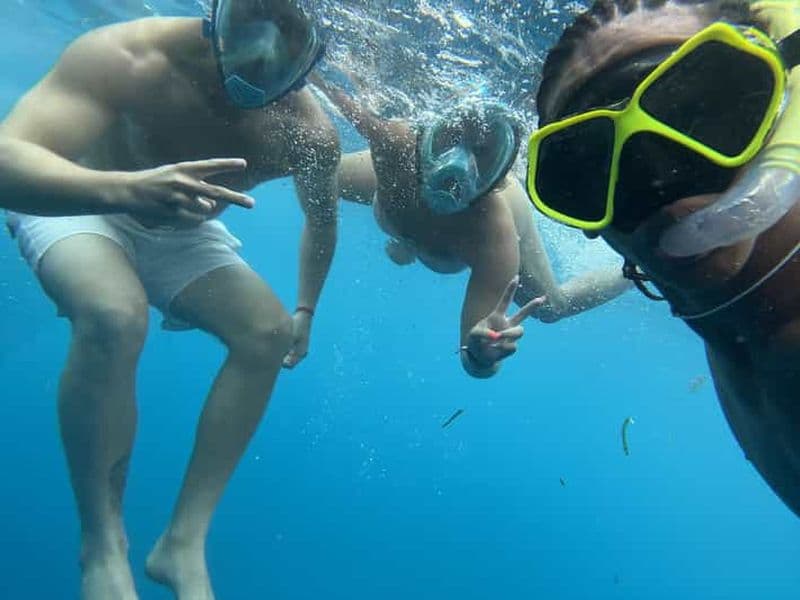 Billet Dauphins et plongée avec tuba à Mnemba : au départ de Matemwe, Pwani, Kwingwa, Uroa.