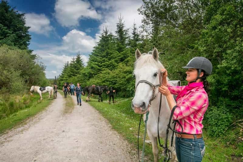 Billet Randonnée à cheval sur le sentier de montagne. Clare. Guidée, 2 heures