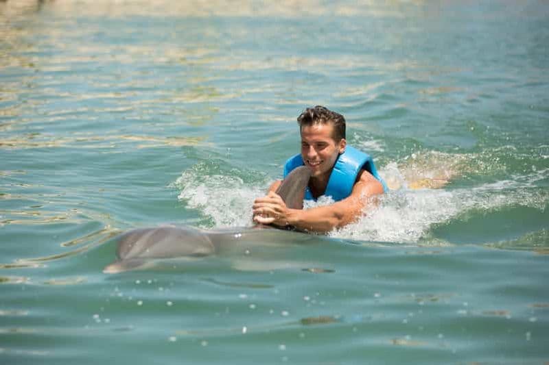 Billet Nager avec les dauphins - Playa Mujeres
