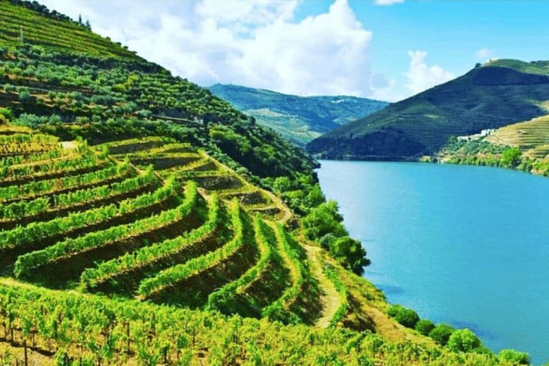 Billet Porto : Visite de la vallée du Douro avec 3 dégustations, déjeuner et croisière Opt. Croisière