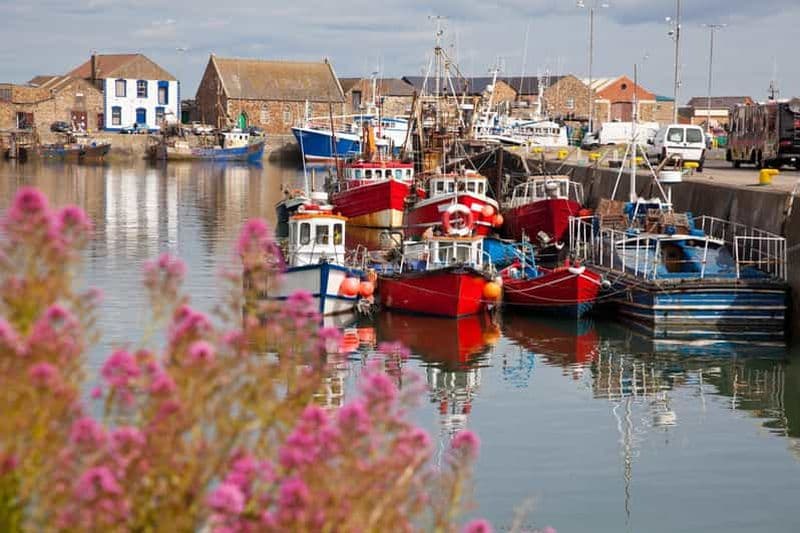 Billet Randonnée guidée d'une demi-journée de Dublin à Howth en voiture ou en ferry